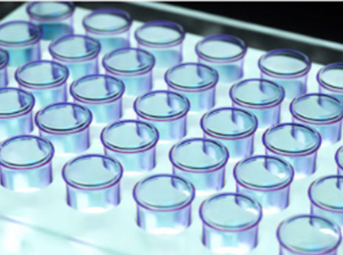 ヒト脂肪幹細胞培養上清液 細胞をバランスよく生理的に健康維持をする、500種類以上の「成長因子」が含まれています。