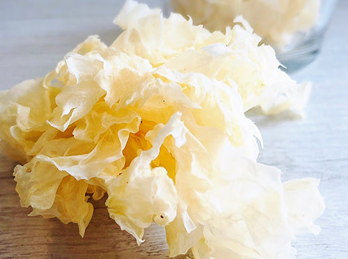 シロキクラゲ多糖体 肌に潤い貢献する成分で抗酸化作用があります。