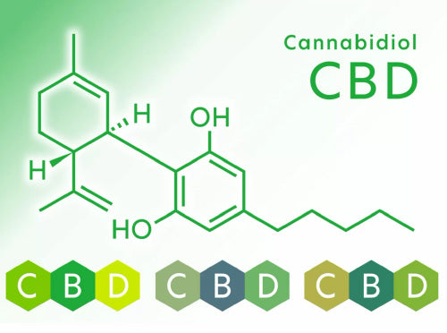 イヌリン 糖の吸収を抑制し血糖値の制限、維持を促す働きがあります。