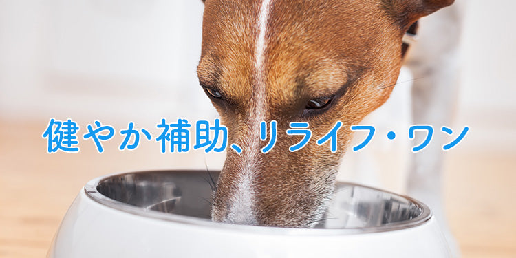 健やか補助、リライフ・ワン